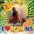 Zoila Vasquez's profile image