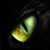 Suze Gray's profile image