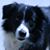 Katherine Janson's profile image