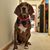 Courtney Lynch Dunn's profile image