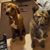 Vickie Dunstan's profile image