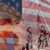 Steven J Zutter's profile image