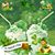 Diane Baley's profile image