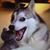 Jared Vasbinder's profile image