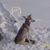 Judi O'Neill's profile image