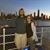 Sara Allen Rodenbaugh's profile image