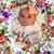 Josephine Rotondi Sciascia's profile image