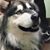Teresa Lockwood's profile image