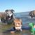 Kate Byrne's profile image