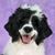 Jim Beach's profile image