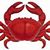 Anj Williams's profile image