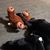 Diane Menzel's profile image