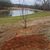 Larry D. Gaddis's profile image