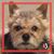 Terry Littman's profile image