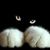 Kimberly VanOrnam-Barnett's profile image