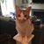 Lisa Mulkeen's profile image
