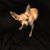 Elaine Towlson's profile image