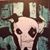 Patrick Somers's profile image