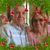 Jeanette Ellis's profile image