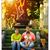 Kumar Raja's profile image