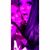 Sheere' Hill's profile image