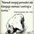 Sanela-Nela Velic-Zenkovic's profile image