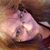 Kari Reed's profile image