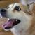 Chuck Johnson's profile image