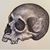 Daniel Gilham's profile image