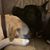 Eric Adam Bettinger's profile image