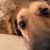 Greg Surette's profile image