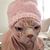 Christina Oseland's profile image