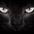 Hussam Akkari's profile image