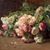 Michalina Sciallo's profile image