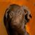 Cynthia Woodyard's profile image