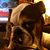 Tall Steve's profile image