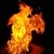 Jason Hall's profile image