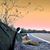 Dustin Ray Rogers's profile image