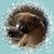 Kathy Koch's profile image