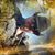 Alegres de Sonora's profile image