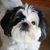 Glenys Looney's profile image