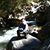Abrahan Chi's profile image