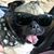 Ups Joe Mery's profile image