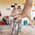 Michael Teasley's profile image