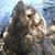 Diane James's profile image