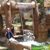Sohaila Elalamy's profile image
