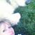 Denise Dorsett Kent's profile image
