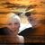 Chari Sekelsky Kilgore's profile image