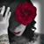 Tara Rose's profile image