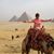 Sandy Starkel-Stewart's profile image